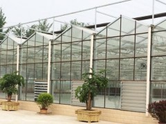 神农花卉园艺资材市场招商图2