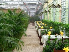 神农花卉园艺资材市场招商图3