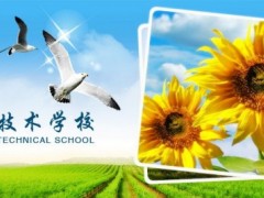 求购水溶肥图1