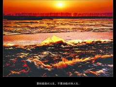 求购水溶肥图2