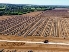 sunnow peat