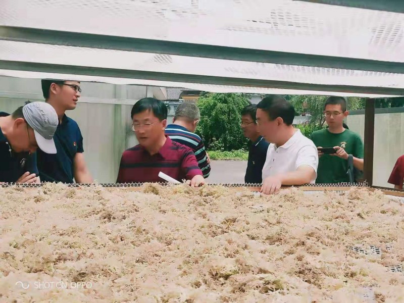 微信图片_20190717184802