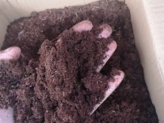 松树皮粉料