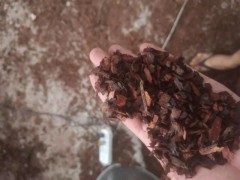 松树皮颗粒
